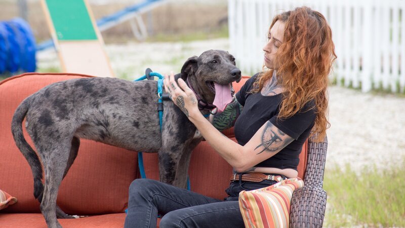 Mariah & Chica during In-Show Feature. – Bild: Discovery Communications, LLC