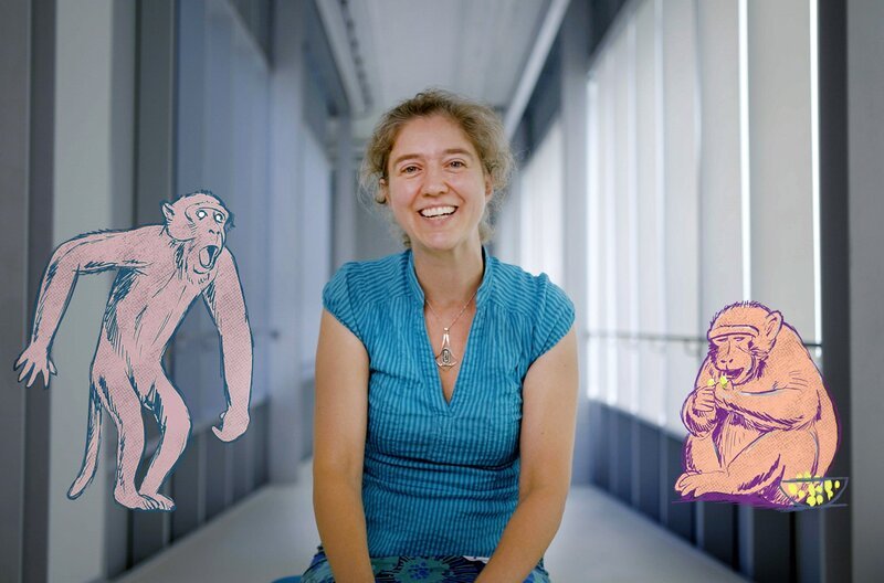 Wenn der Artgenosse eine Süßigkeit bekommt und man selbst aber nicht, sorgt das auch unter Affen für Aufruhr und Eifersucht. Das Gerechtigkeitsempfinden der Primaten ist dem des Menschen ziemlich ähnlich, sagt die Neurowissenschaftlerin Marieke Schölvinck. – Bild: BR/​ARTE