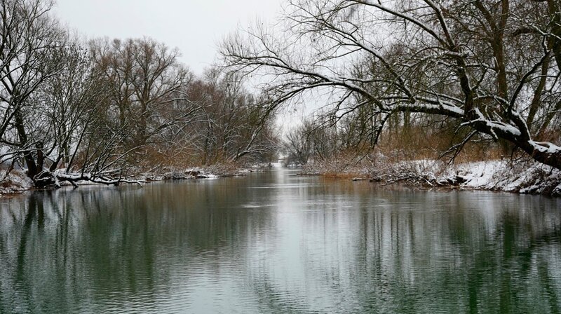 Am Donaualtwasser Staatshaufen, in der Nähe der Mündung der Isar in die Donau. Weiteres Bildmaterial finden Sie unter www.br-foto.de. – Bild: BR