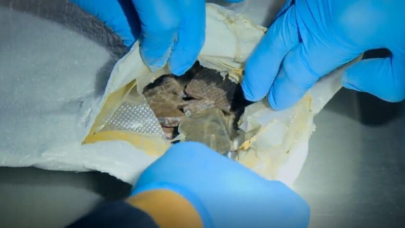 Welche Substanz steckt in diesem Glas? Was hier unauffällig aussieht, wurde möglicherweise heimlich eingeschleust. – Bild: TV Alliance – TV A2 Media GmbH/​WeltN24 GmbH