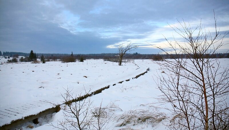 Das weiße Moor. – Bild: SWR Das weiße Moor. – Bild: SWR