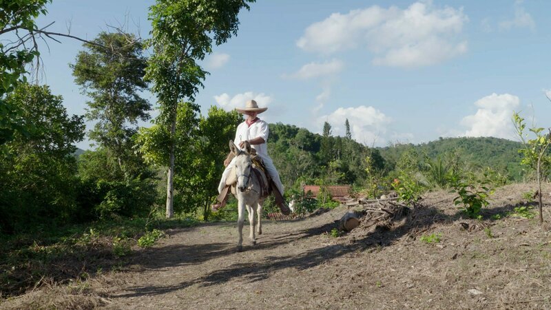 Die Welt der Gewürze Vanille aus Mexiko  Vanillebauer – Bild: SRF/​Autentic