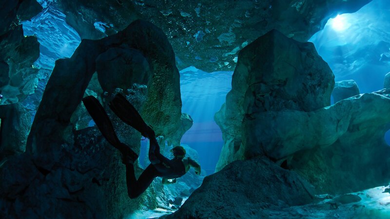 . – Bild: Silverline . – Bild: Silverline