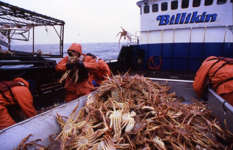 Połów krabów – Bild: Discovery Communications