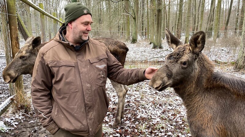 Ein Leben unter Artgenossen – für Flaschenkind Susi ein entscheidender Schritt. – Bild: NDR/​Zentralfilm/​Micha Bojanowski