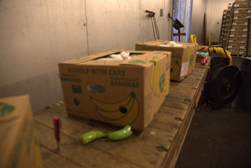 Kisten mit Bananen liegen auf einem Inspektionstisch und warten darauf, in Philadelphia auf Schmuggelware untersucht zu werden. – Bild: NGC NETWORK US, LLC