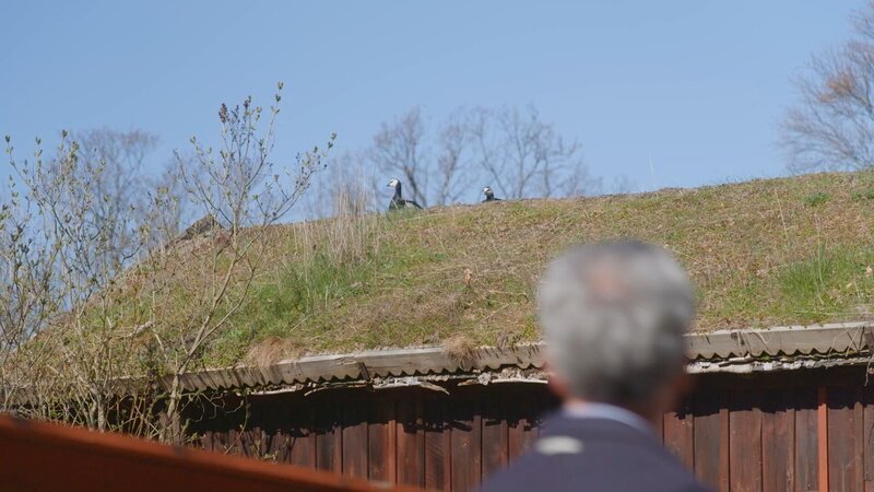 Neues Haus mit alter Seele – Bild: RTL /​ FremantleMedia Sverige AB