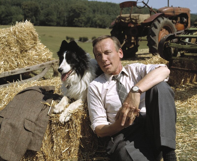 James Herriot (Christopher Timothy). – Bild: RTL