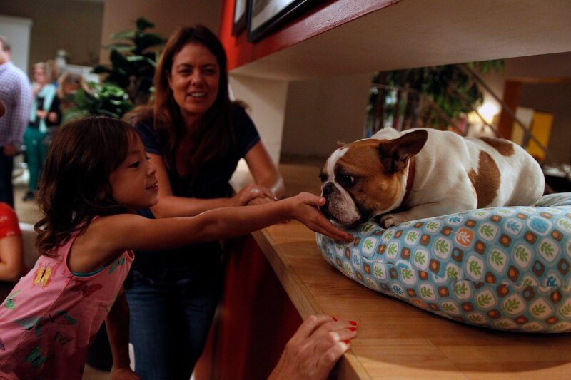 Lily Tucker-Pritchett (Aubrey Anderson-Emmons, vorne) – Bild: ViacomCBS /​ Hopper Stone