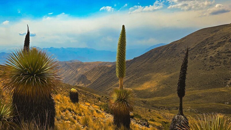  – Bild: K22film /​ Daniela Pulverer