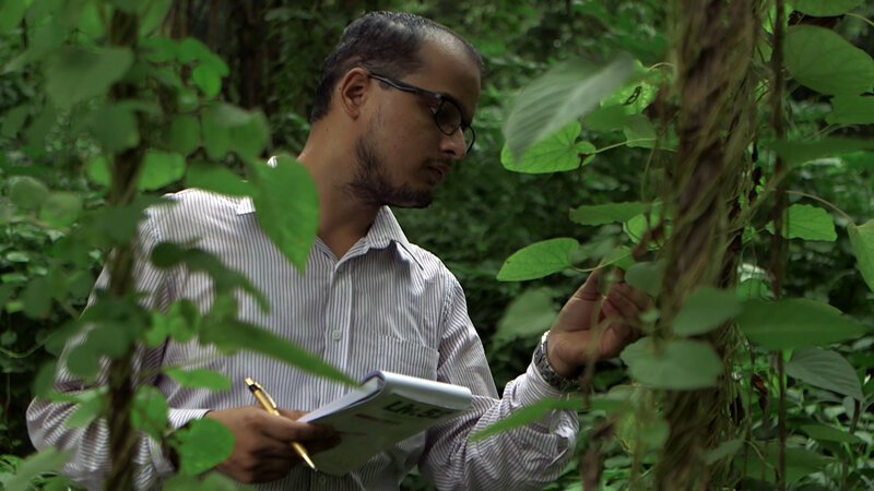 . – Bild: Marco Polo TV