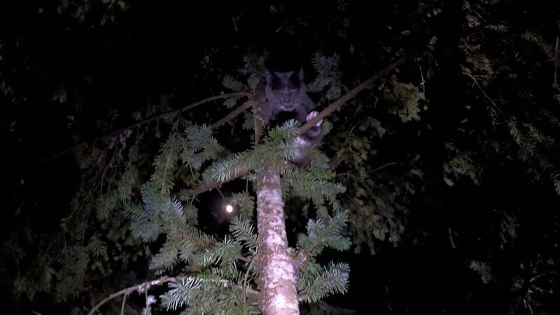 . – Bild: Warner Bros. Discovery