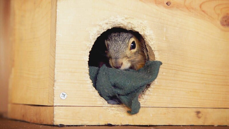 . – Bild: Warner Bros. Discovery