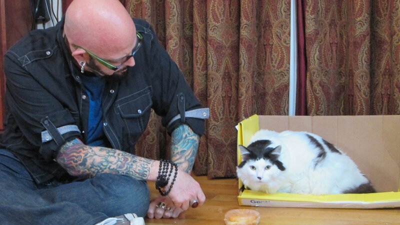 Jackson Galaxy and Elvis the cat in the home. – Bild: Animal Planet
