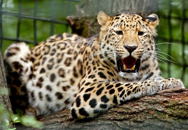 MDR FERNSEHEN ELEFANT, TIGER & CO., Geschichten aus dem Leipziger Zoo – Bild: MDR/​Andreas Lander /​ MDR/​HA Kommunikation