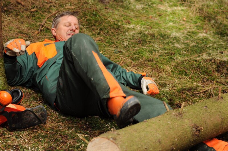 Schattenhofer (Werner Rom) ist ein Baumstamm auf die Beine gefallen. – Bild: BR/​Jo Bischoff