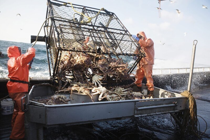 Matt Sullivan and Chris Kirk dump a big load of crab onto the sorting table. – Bild: DISCOVERY CHANNEL /​ COREY ARNOLD