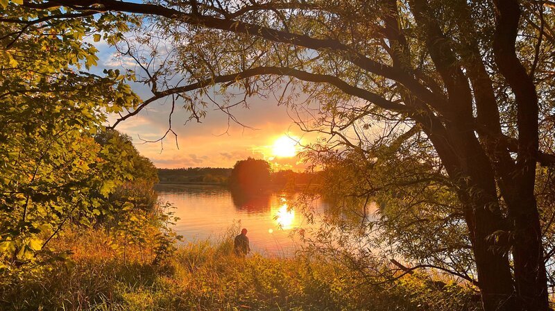 Im Herbst freut sich der Ornithologe Thomas Klinner vor allem auf ein Spektakel. Bis zu 40.000 Zugvögel machen Rast am Gülper See im Naturpark Westhavelland. Gänse und Kraniche fliegen ein und sammeln sich auf dem großen Schlafgewässer. Gut geschützt vor Feinden an Land, ruhen sie hier aus. Großartige Naturbeobachtungen für den Ranger und Schaulustige am abendlichen Seeufer. – Herbst im Havelland. – Bild: rbb/​Wolfgang Albus
