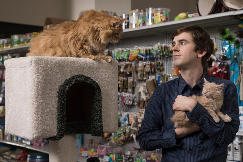 The Good Doctor – Season 2 – Episode 207 -„Hubert“ – Bild: Jack Rowand /​ ABC /​ Sony Pictures Television /​ American Broadcasting Companies, Inc.