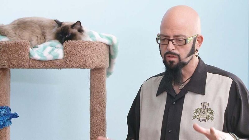 Siamese cat Frankie with Jackson Galaxy – Bild: Animal Planet