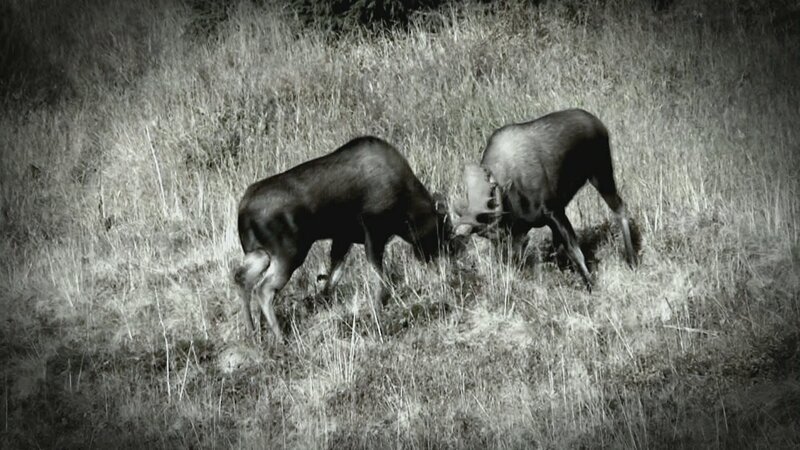 . – Bild: Warner Bros. Discovery