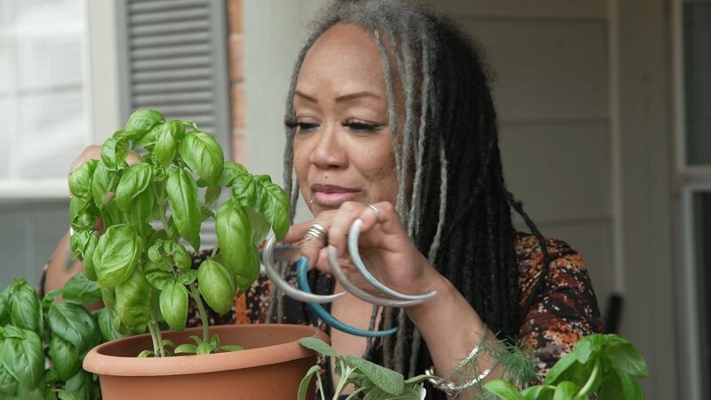 Ayanna with her herb garden – Bild: Discovery Channel
