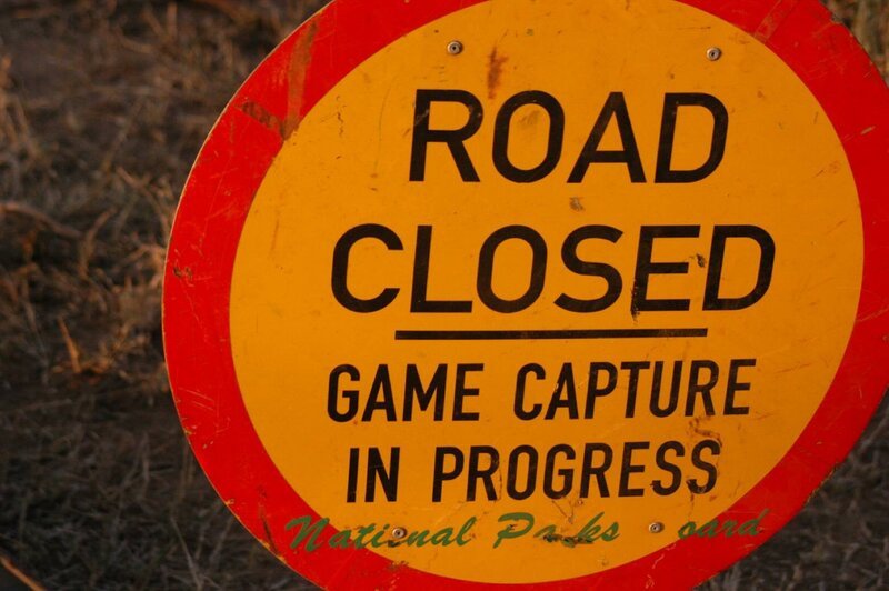 Warnschild im Krüger-Nationalpark. – Bild: BR/​Christian Herrmann