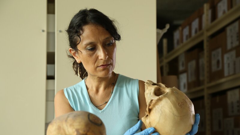 Elsa Tomasto, Spezialistin für Anthropologie – Bild: Windfall Films Ltd