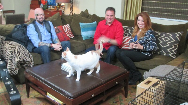 Jackson Galaxy, Phil Sandy and the cat inside their home. – Bild: Animal Planet