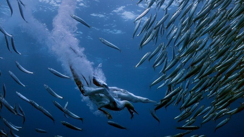  – Bild: La Caz’a Productions