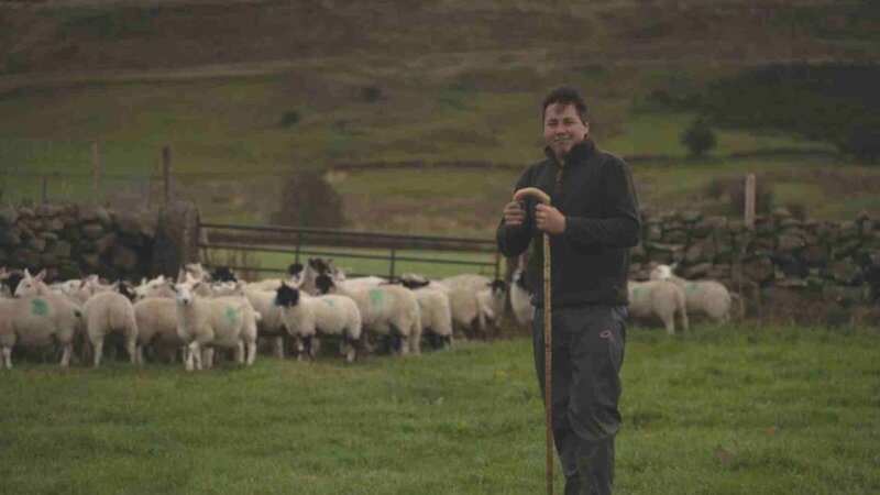 Lewis Barraclough züchtet die in Yorkshire heimischen Swaledale-Schafe. – Bild: ZDF/​BBC