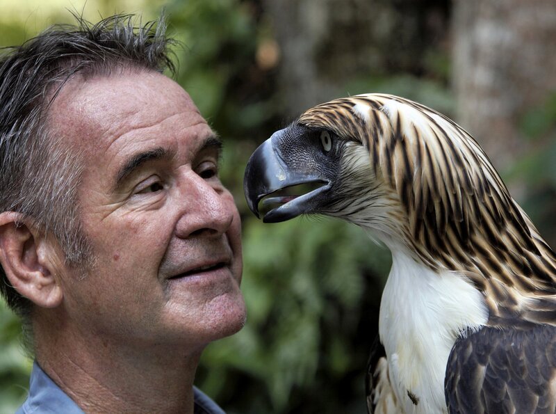 Nigel Marven mit einem Philippinenadler. Die prächtigen Greifvögel sind Wappentiere des Landes. – Bild: phoenix/​ZDF/​Michael Hutchinson