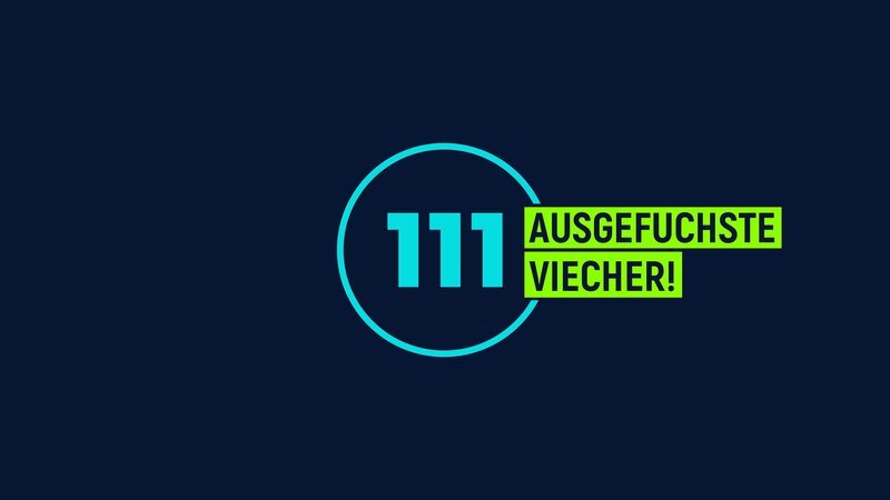 111 haarsträubende Hobbys! – Logo – Bild: Sat.1