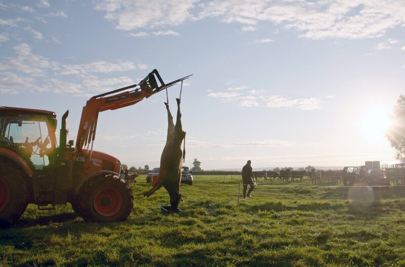 Glückliches Leben – glücklicher Tod? Die Kuh Nuria blutet nach einem Kugelschuss auf der Weide aus. – Bild: Jakob Schmidt