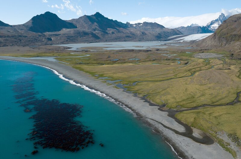 Die Crozet- und Kerguelen-Inseln am Rande des Südpolarmeers – Bild: Saint Thomas Productions