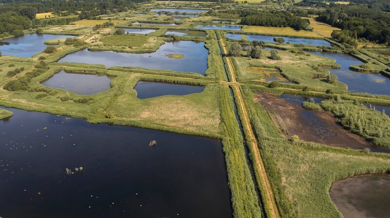 Naturparadies aus Menschenhand: Die Wasserwildnis bietet einen einzigartigen Lebensraum für wilde Tiere. Eine Insel, mitten in der Kulturlandschaft. – Bild: WDR/Light & Shadow GmbH Naturparadies aus Menschenhand: Die Wasserwildnis bietet einen einzigartigen Lebensraum für wilde Tiere. Eine Insel, mitten in der Kulturlandschaft. – Bild: WDR/Light & Shadow GmbH