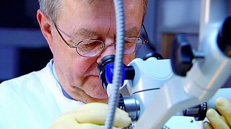 Fall „Irische Studentin“: Die Obduktion durch Prof. Dr. Wolfgang Eisenmenger zeigt, dass die junge irische Studentin vergewaltigt und anschließend mit zehn Messerstichen lebensgefährlich verletzt wurde. – Bild: TVNOW