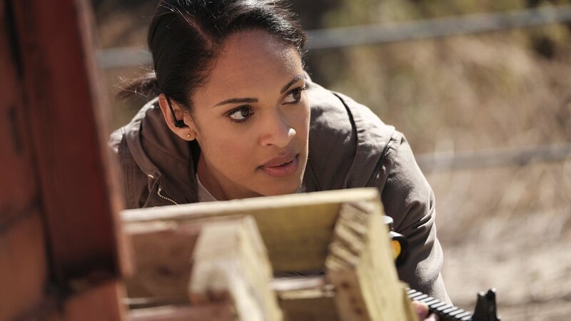 Bild: PLURIMEDIA (USA Network)