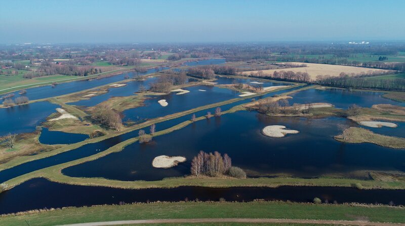 Früher waren die Steinhorster Becken schlichte Wasserrückhaltebecken, die vor Überschwemmungen durch die Ems schützen sollten. Heute sind sie ein artenreiches Naturschutzgebiet. – Bild: WDR/​Ulf Marquardt