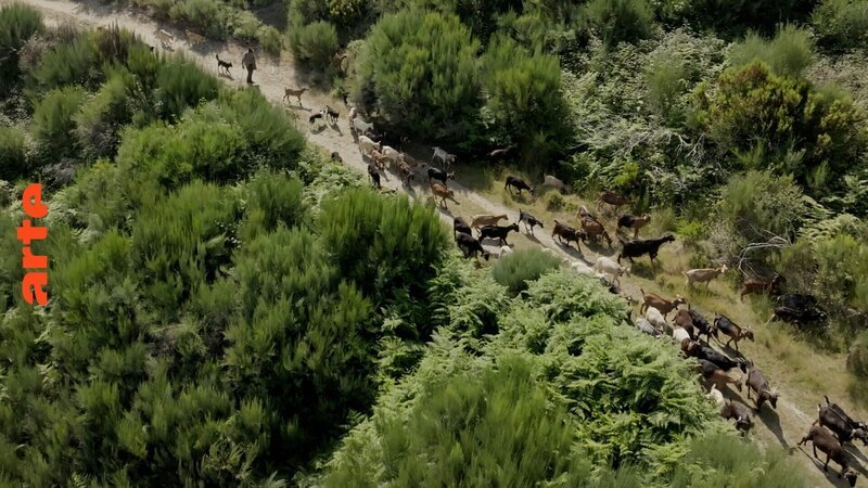  – Bild: Laurène Da Palma Cavaco