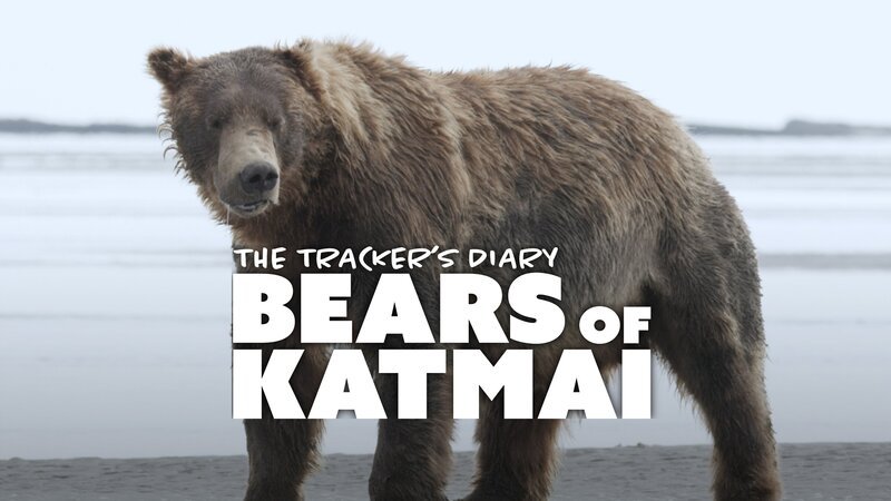 Bild: Curiosity Stream