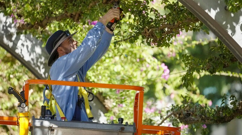 Gärtner mit Sonnenschutzkleidung in Brisbane, Australien. – Bild: SWR