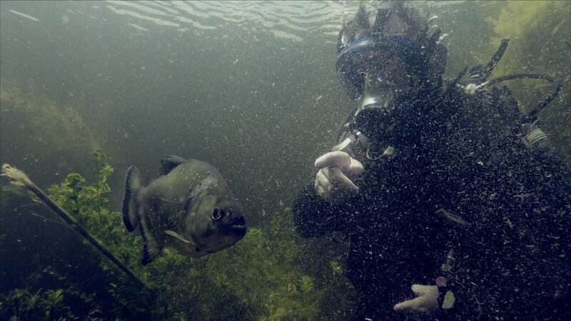 Bild: Licensed by Banijay Rights Limited Lizenzbild frei