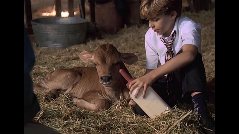 Jimmy (Bobby Edner) versucht, das kranke Kalb Hannibal aufzupeppeln. – Bild: CBS Studios International