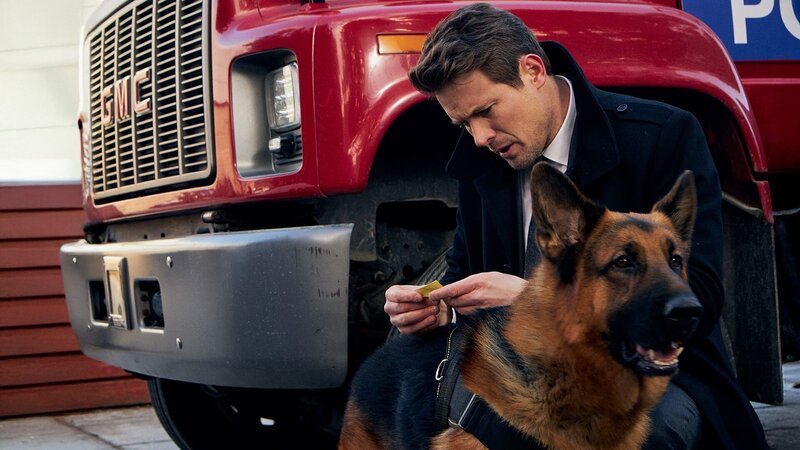 Bild: Shaftesbury /​ Pope Productions