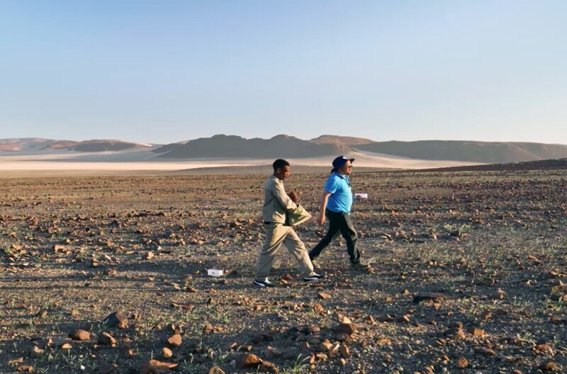Zusammen mit seinen Studenten untersucht der Biologe Seith Eiseb (re.) von der Universität Windhoek seit mehreren Jahren Flora und Fauna auf der Etendeka-Ebene. – Bild: ARTE France/​Haut et Court Doc/​Haut et Court TV