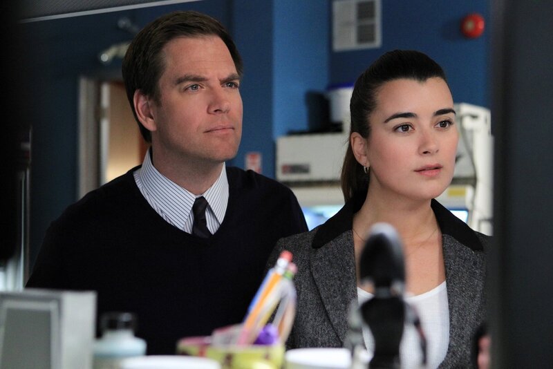 Ermitteln in einem neuen Fall: Ziva (Cote de Pablo, r.) und DiNozzo (Michael Weatherly, l.) … – Bild: CBS Television