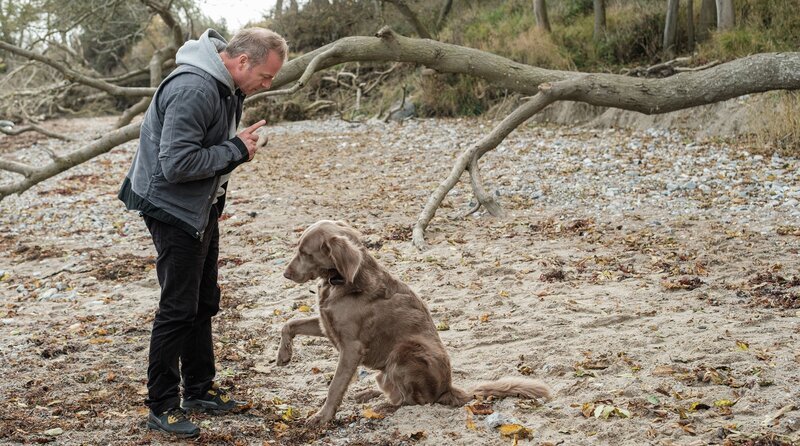 Hauke Jacobs (Hinnerk Schönemann) und Holly (Fritz) am Strand von Schwanitz. – Bild: NDR/​Gordon Timpen