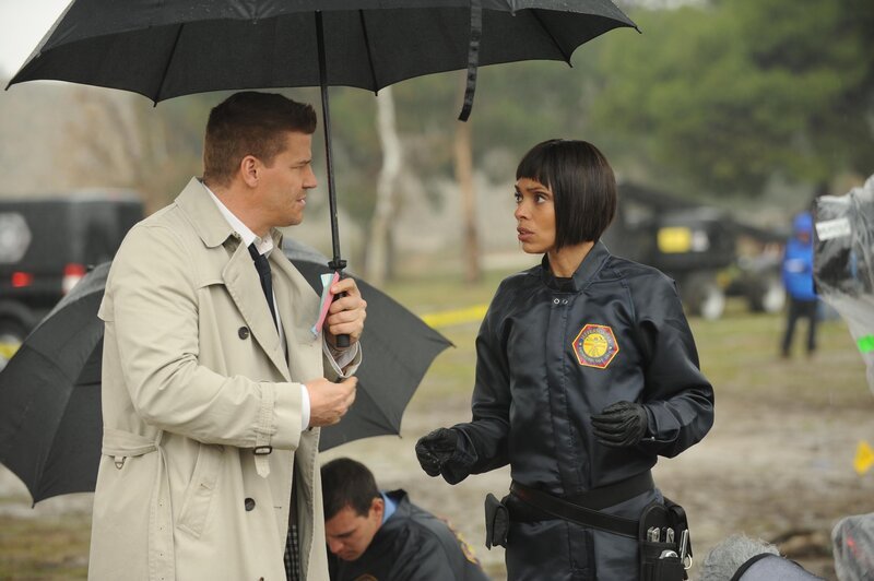 Seeley Booth (David Boreanaz, l.); Camille Saroyan (Tamara Taylor, r.) – Bild: ATV2