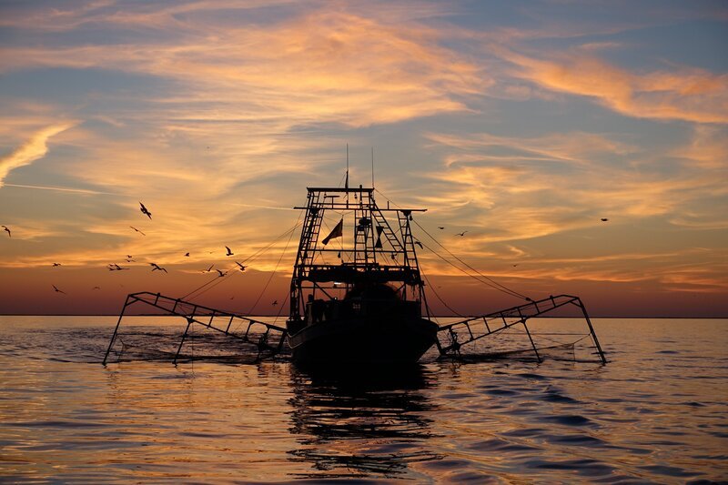 Noch bis in die 1980er Jahre belieferten die Shrimpfischer mit ihren Meeresfrüchten die ganze USA. Heute sind ihre Fangreviere durch die territorialen Streitigkeiten mit den Öl-Konzernen eingeschränkt. – Bild: ART